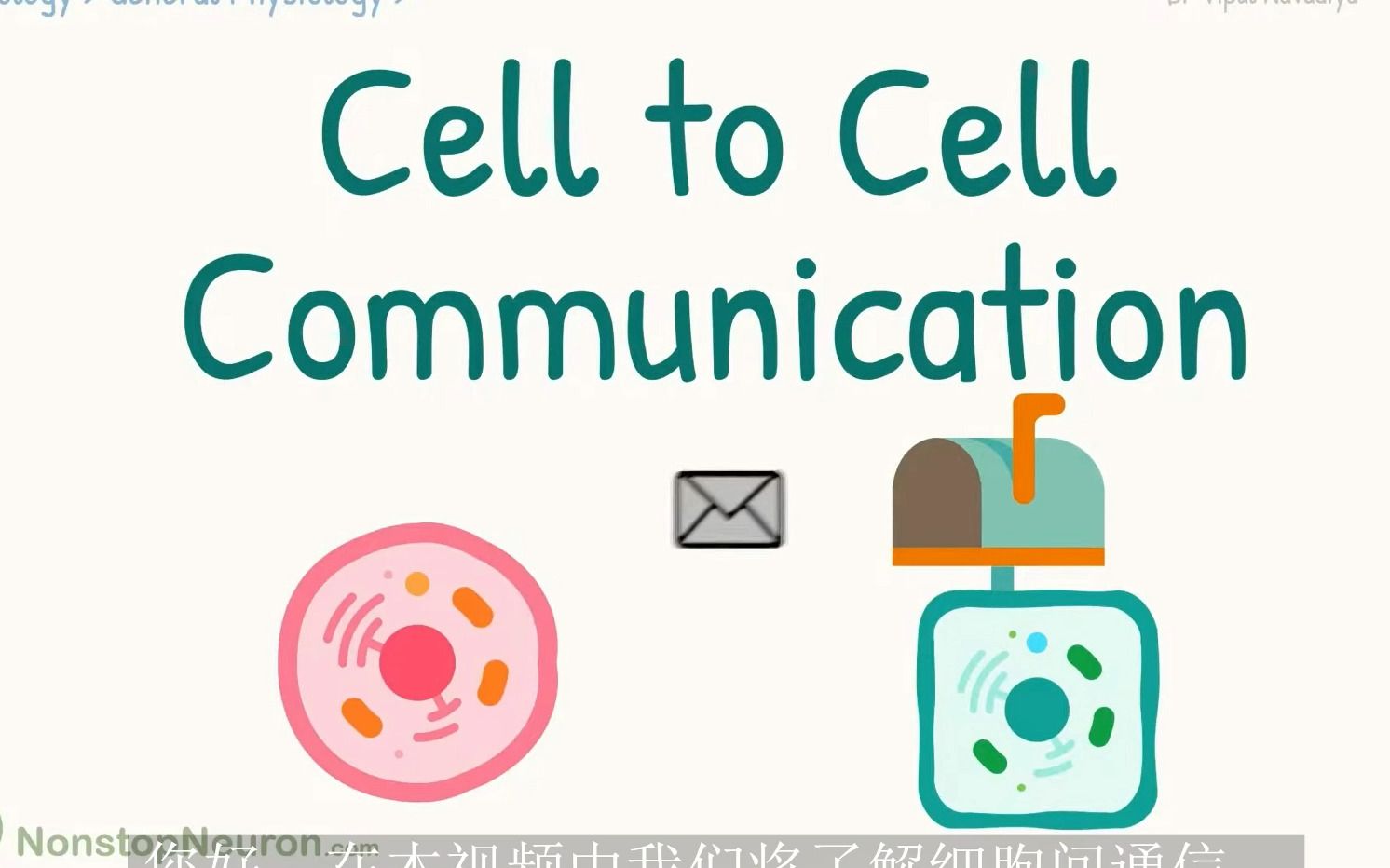 【生物动画】细胞生物学细胞间的通讯信号类型哔哩哔哩bilibili