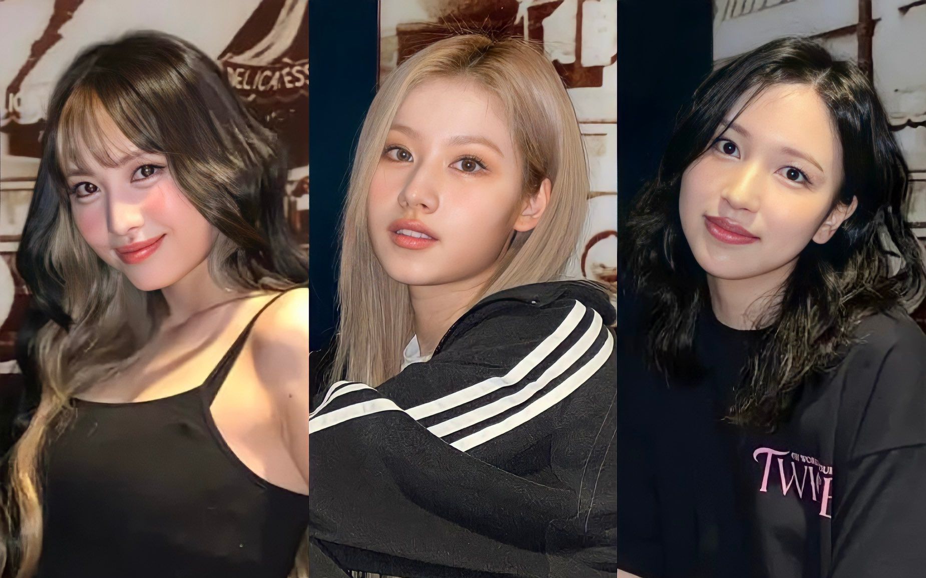 【twice】樱花line的舞蹈魅力 los 演唱会