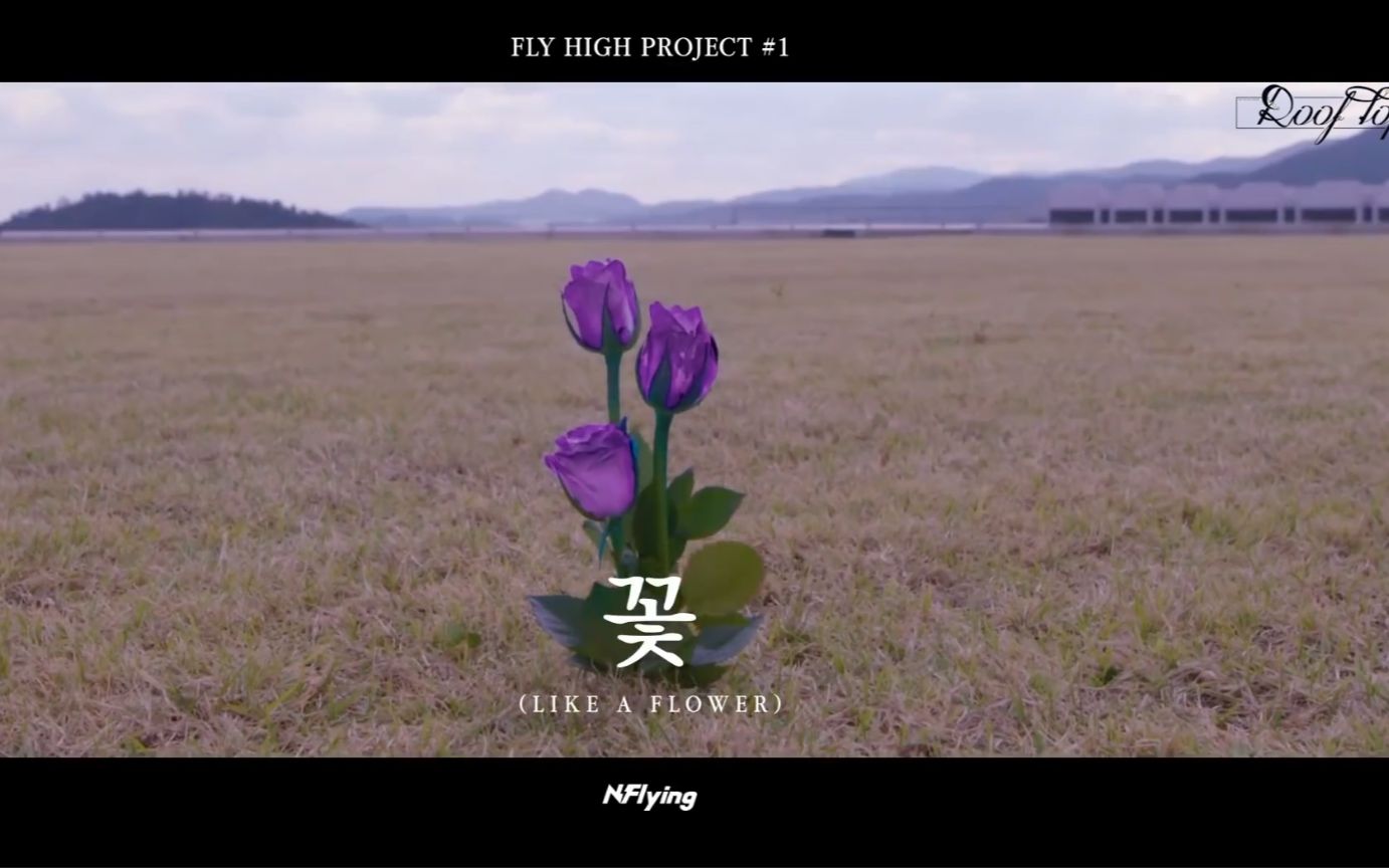 [图]【N.Flying】「 LIKE A FLOWER 花 」 FLY HIGH PROJECT #1 MV 中韩双语特效字幕