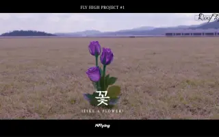 花 A Last Flower 搜索结果 哔哩哔哩 Bilibili