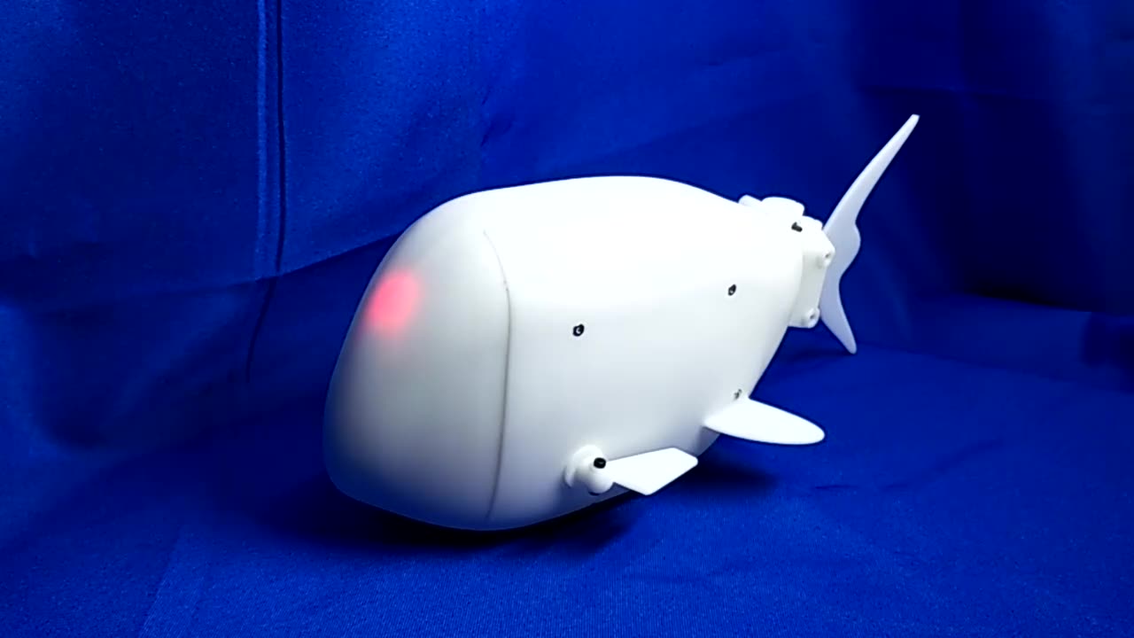 仿生机器鱼的摆拍