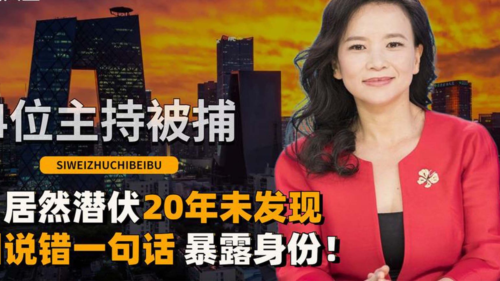 4位主持人被捕,居然潜伏20年未发现,因说错一句话,暴露身份!哔哩哔哩bilibili