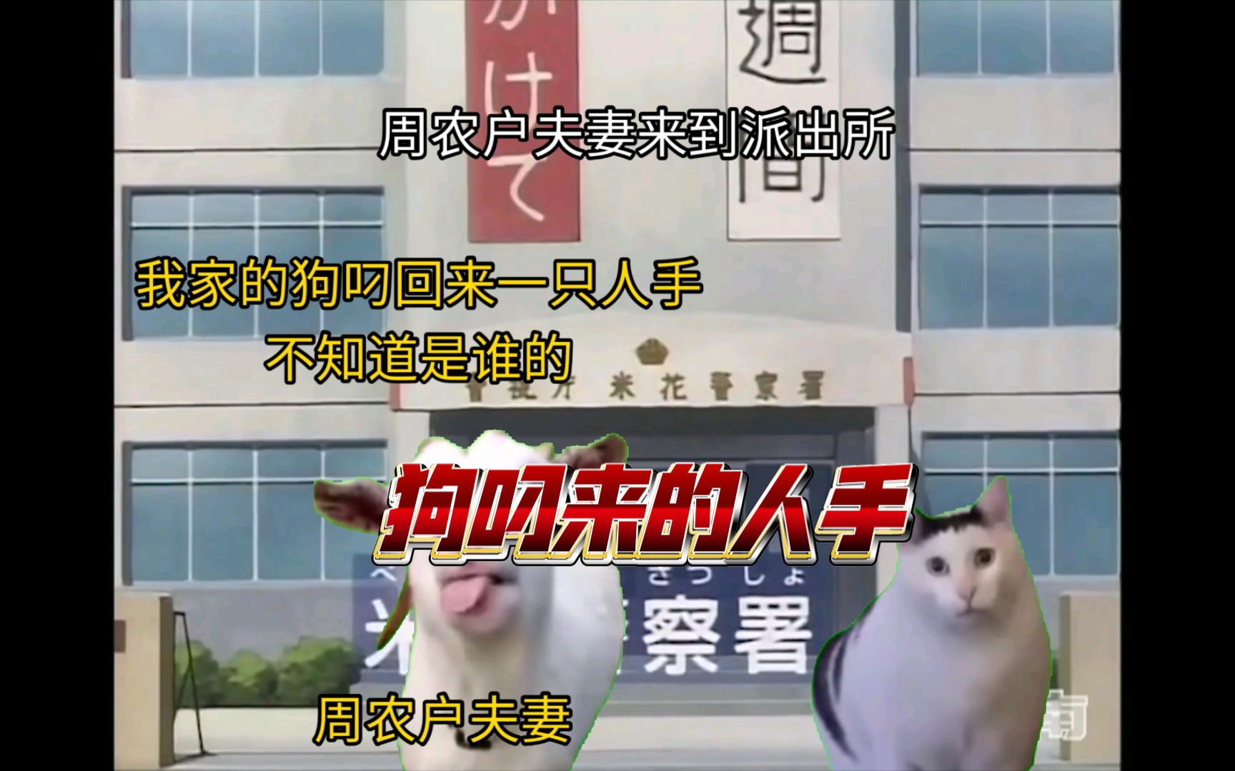 [图]【猫meme】猫meme讲真实案件——狗叼来的人手