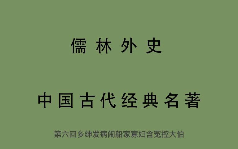 有声书 视频字幕版 全文朗读 中国古代经典名著 儒林外史6哔哩哔哩bilibili