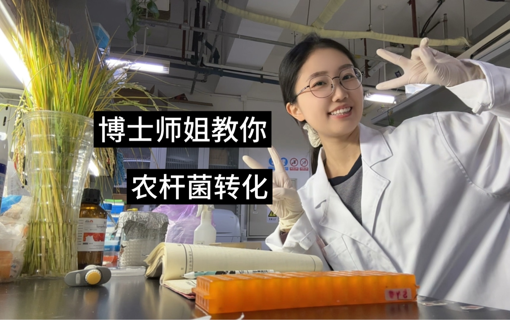 植物学实验|农杆菌转化哔哩哔哩bilibili