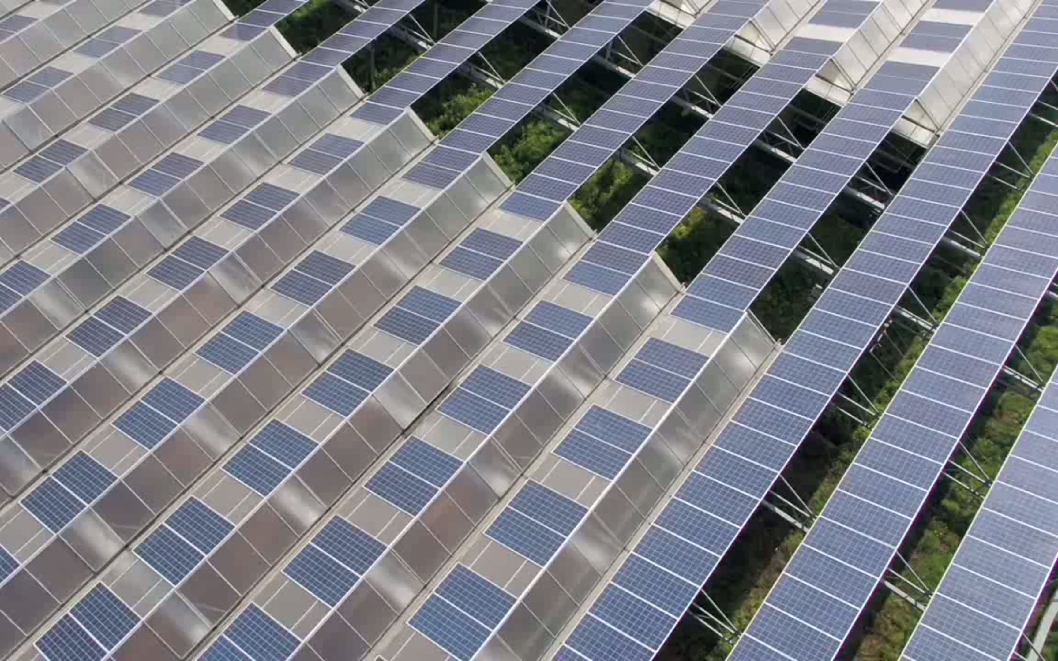 玻璃温室 #光伏大棚_哔哩哔哩_bilibili