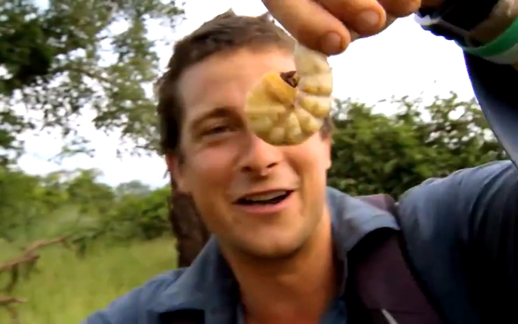 Bear grylls bee sting face