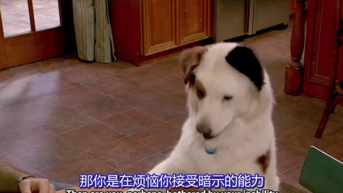 狗狗博客第三季图片