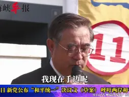 Download Video: 新党公布“和平统一”决议文，吴成典称“台独”“华独”都是灾难