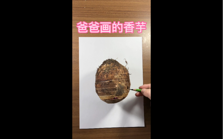 爸爸画的香芋哔哩哔哩bilibili