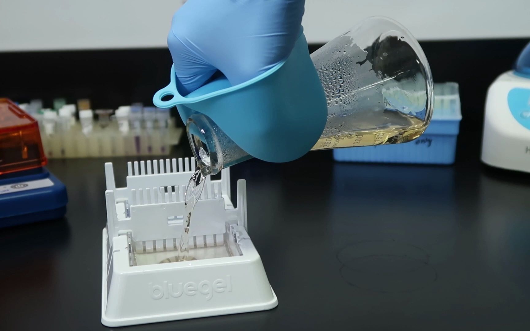 【youtube】what is gel electrophoresis? 琼脂糖凝胶电泳