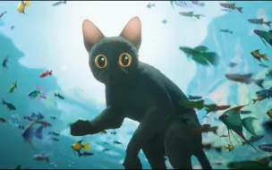 Video herunterladen: 猫猫的奇幻漂流