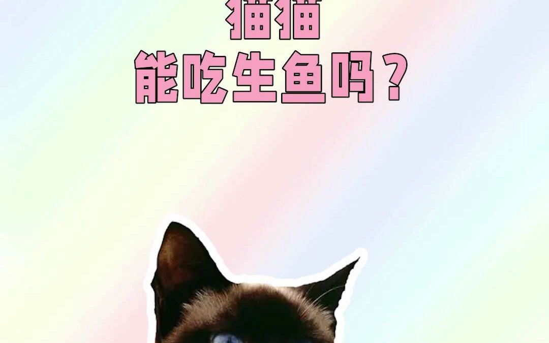 010085猫猫能吃生鱼吗?哔哩哔哩bilibili