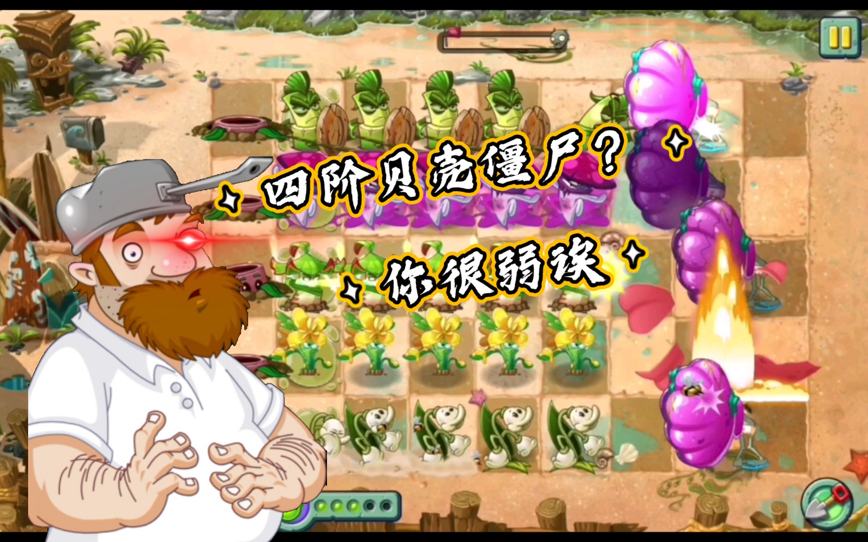 植植物大战僵尸:当四阶的贝壳僵尸组团逛花园,金缕梅:放马过来吧