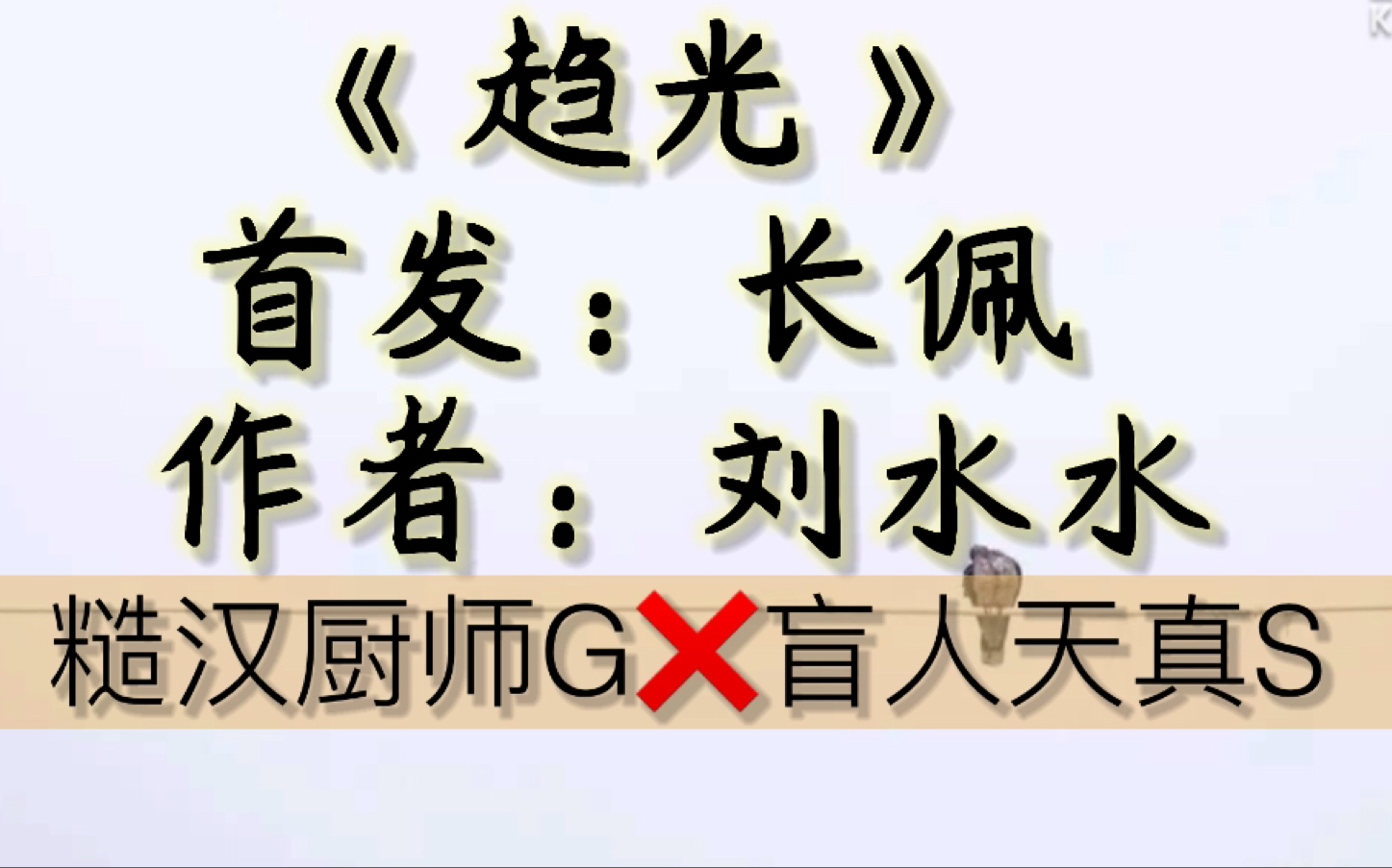 【原耽推文】设定贼带劲/《趋光》by 刘水水/ 厨 子和盲 人 按 摩 师的市井爱情故事哔哩哔哩bilibili