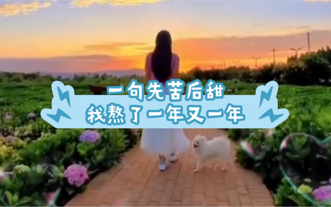 一句先苦后甜我熬了一年又一年