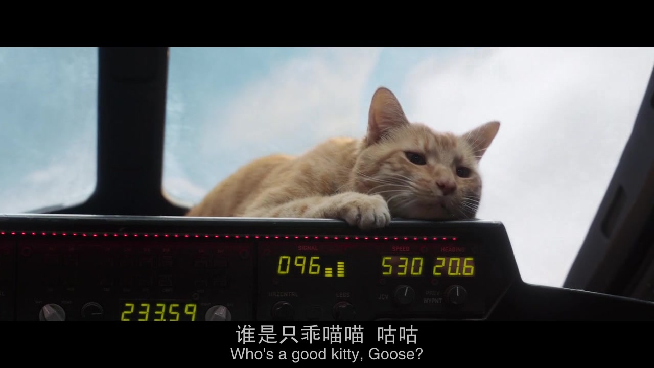 惊奇队长里的猫噬元兽