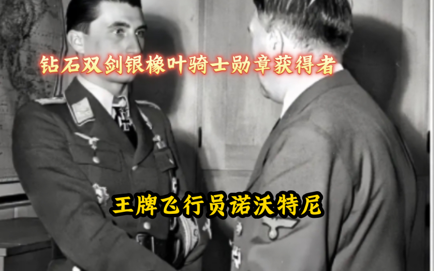 元首亲自接见并授勋诺沃特尼,至高荣誉