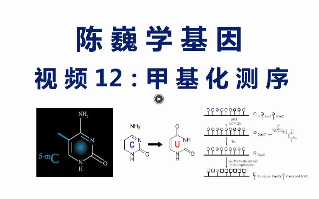 【陈巍学基因】视频12:甲基化测序哔哩哔哩bilibili