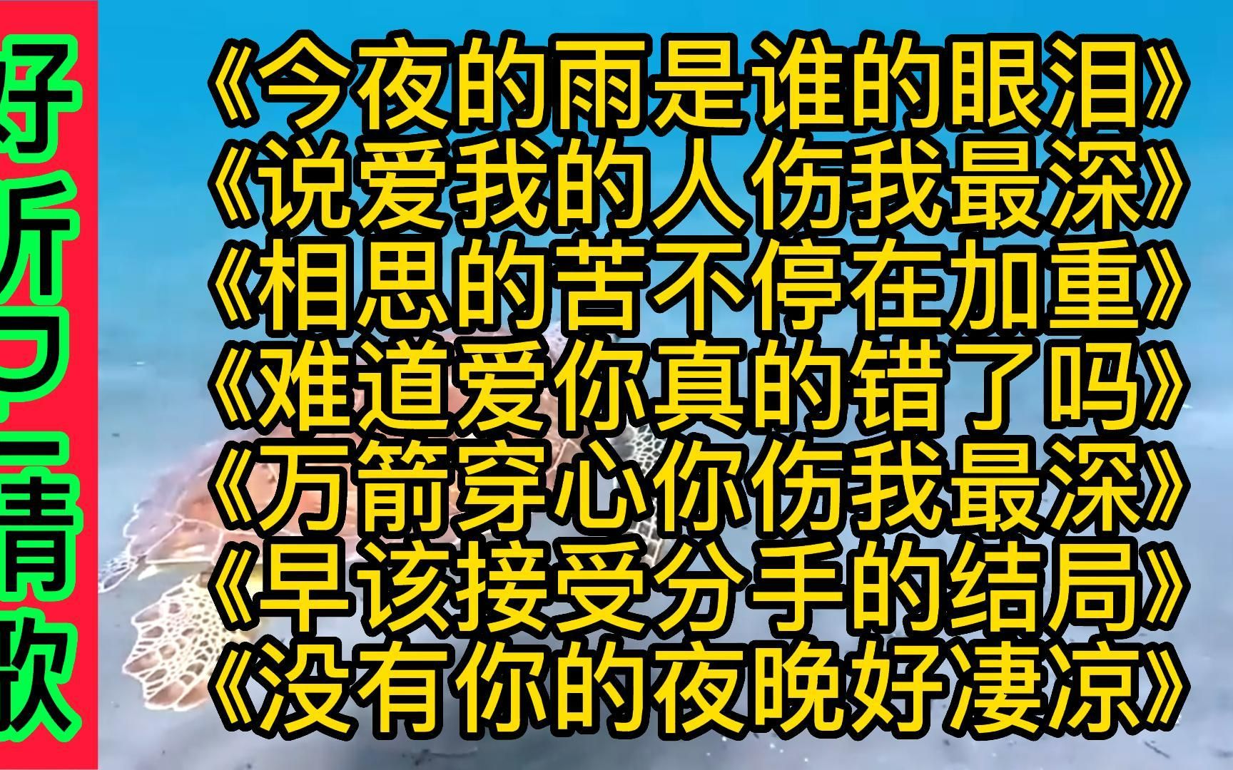 [图]好听伤感DJ情歌《今夜的雨是谁的眼泪》《万箭穿心你伤我最深》