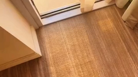 爱乃娜美
