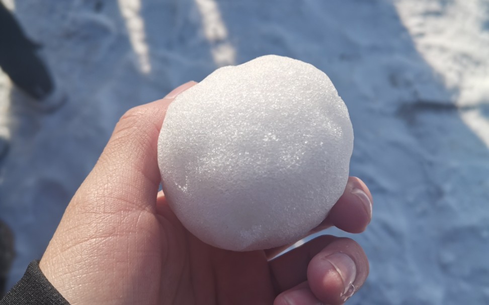 日常雪球_哔哩哔哩_bilibili