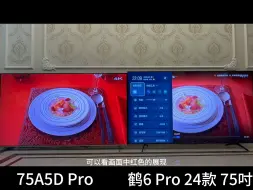 Download Video: 创维75A5D Pro VS 雷鸟鹤6 Pro 24款 75吋