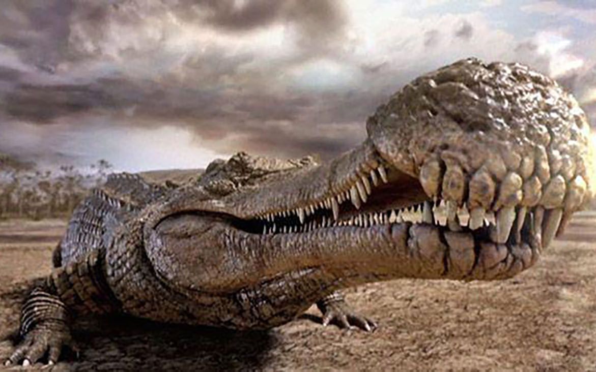 史前鳄鱼家族的帝王 帝鳄 帝鳄以恐怖和冷血而著名 至今为止地球上