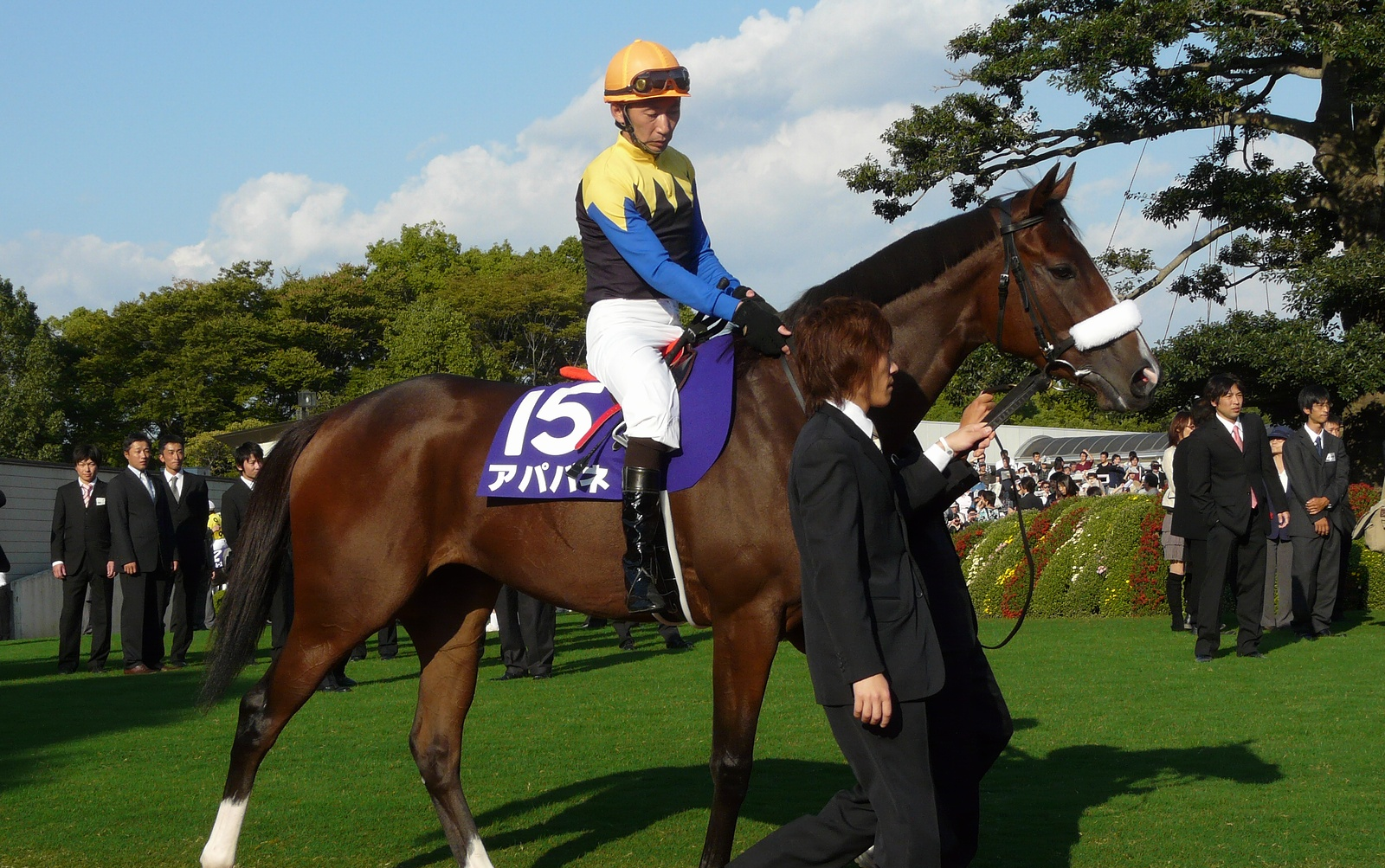 2010年日本中央赛马一级赛集锦下半年篇