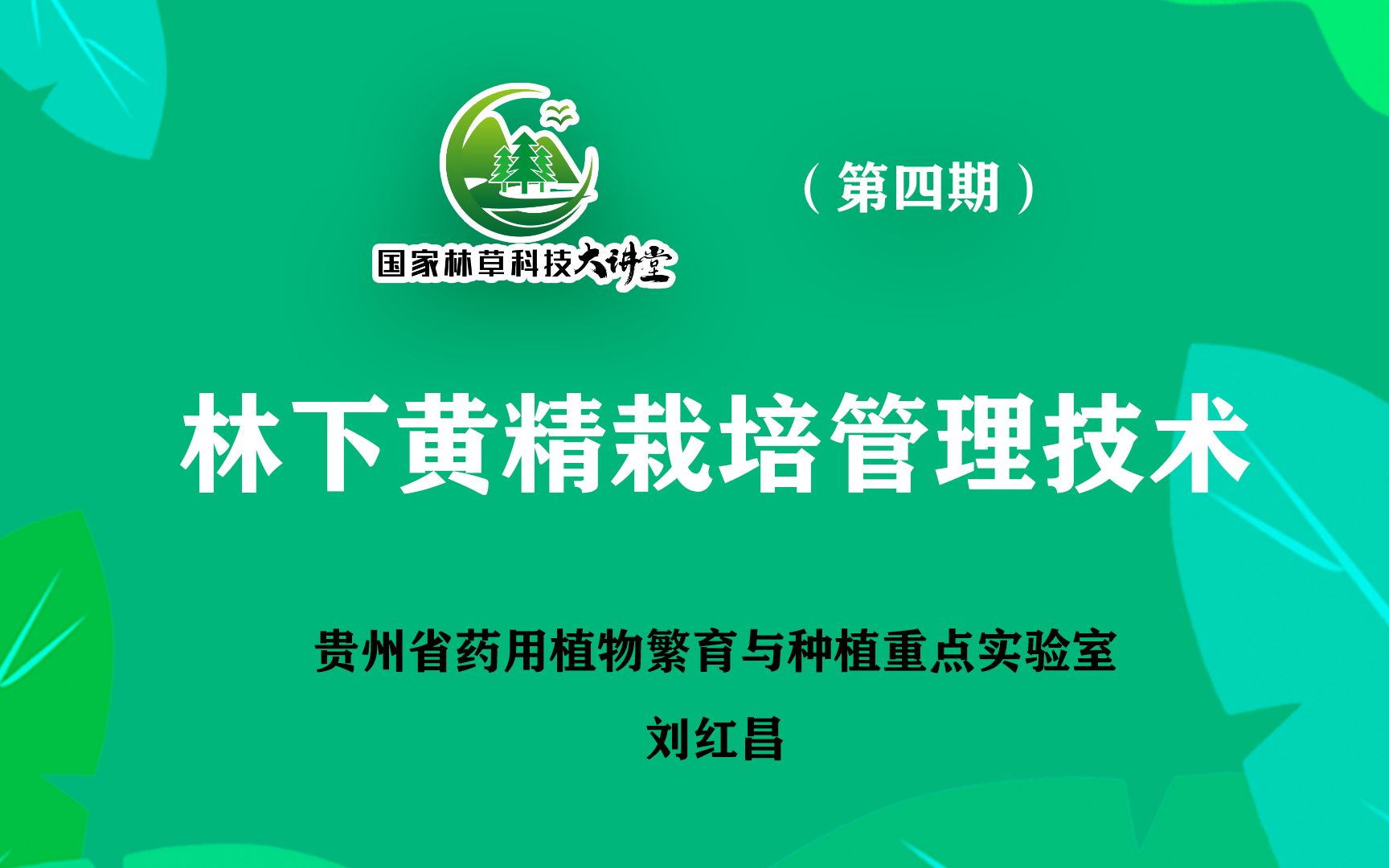 国家林草科技大讲堂|林下黄精栽培管理技术哔哩哔哩bilibili