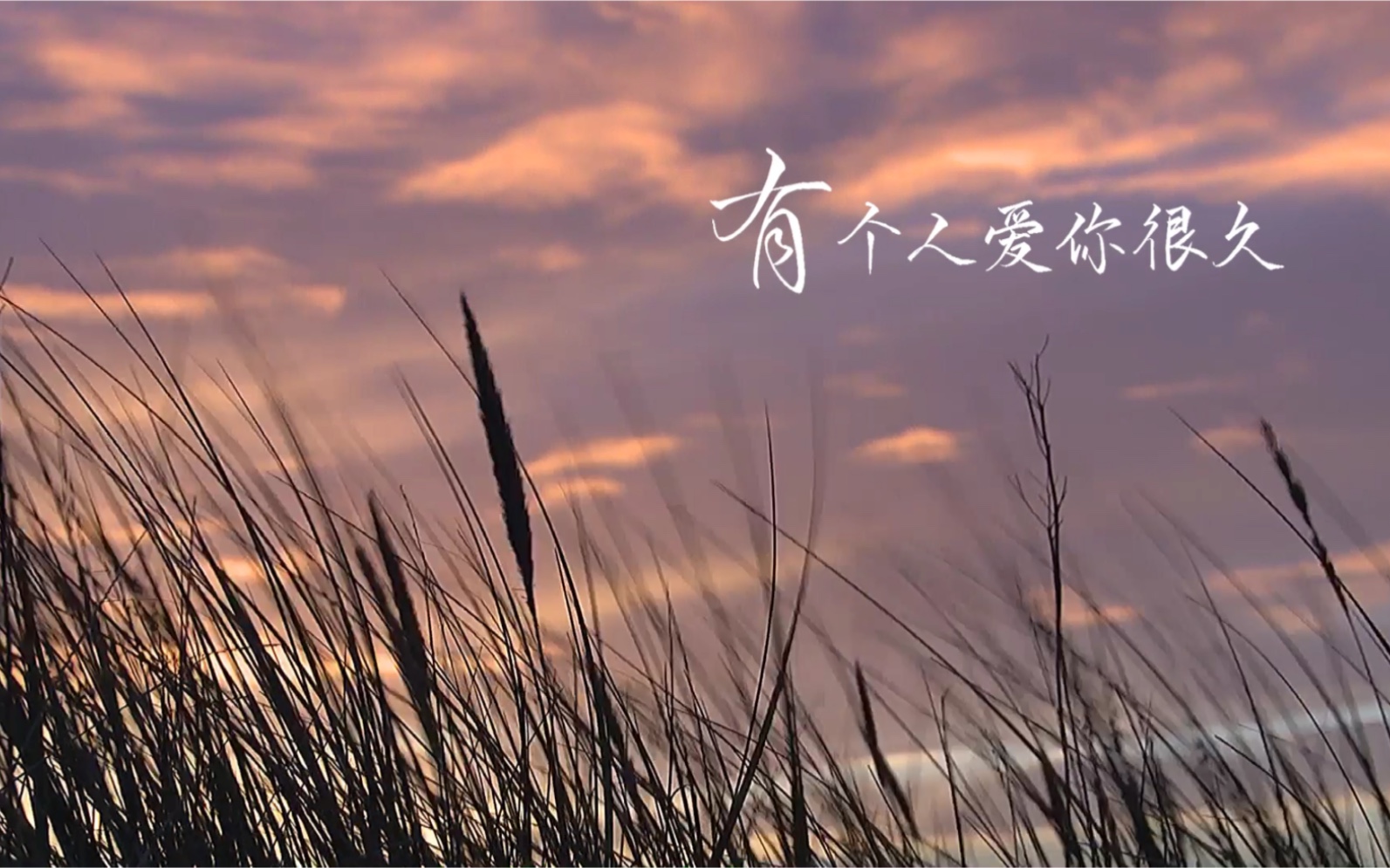 手写mv把晴天的歌词写出来配上风景感觉很治愈