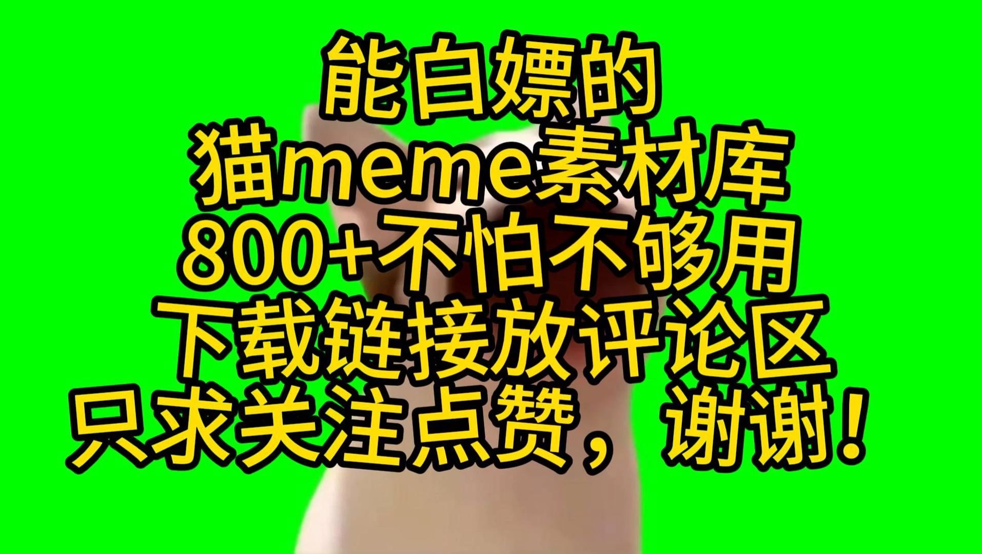 [图]能白嫖的800+猫meme素材