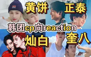 Download Video: [韩团CP向reaction第五弹]某些情侣总是能让我目瞪狗呆怀疑人生|灿白|奎八|正泰|黄饼/彰辰