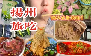 Download Video: 北方人下江南挑战2天10家店！！烟雨江南美疯啦！！