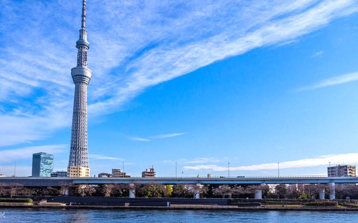 microsoftflightsimulator2020飞跃东京晴空塔