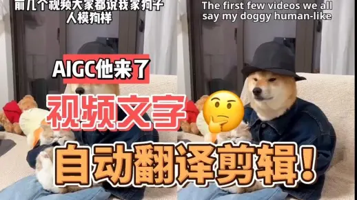 神了，用AI自动对视频字幕进行翻译剪辑，字幕大小、样式和位置自动还原贴回！抖音和TikTok视频翻译神器，中英文字幕都支持！