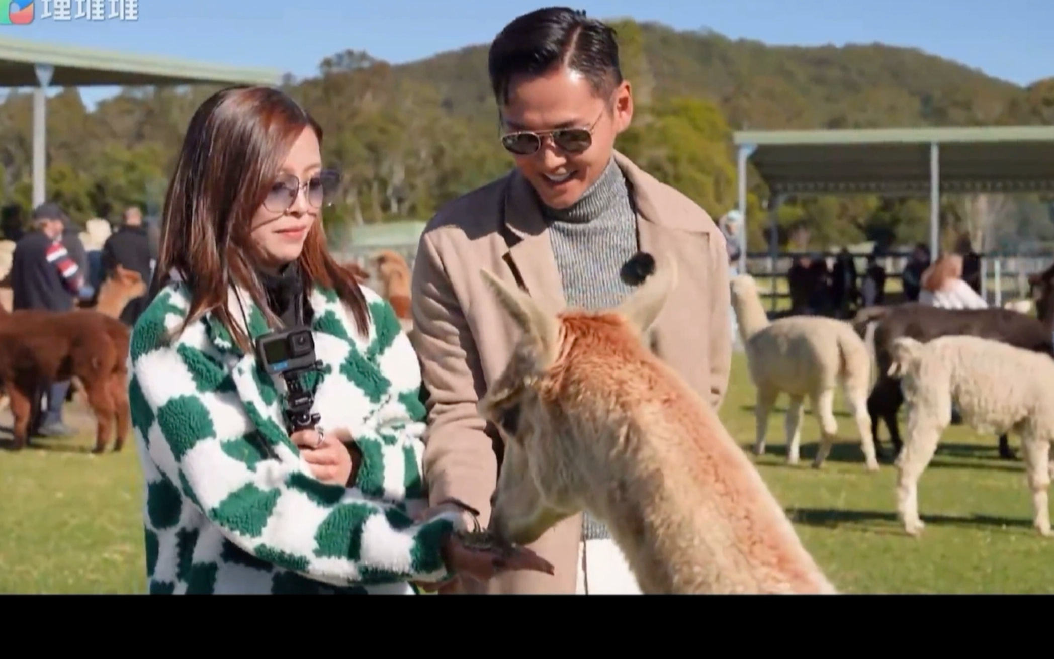 【张振朗x赖慰玲】约埋班friend去旅行cut5