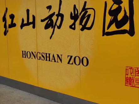 【旅行——红山动物园】去南京玩咯,看了好多小动物