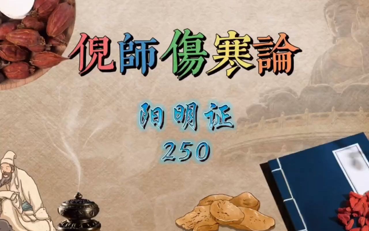 146倪师伤寒论阳明证250倪海厦哔哩哔哩bilibili