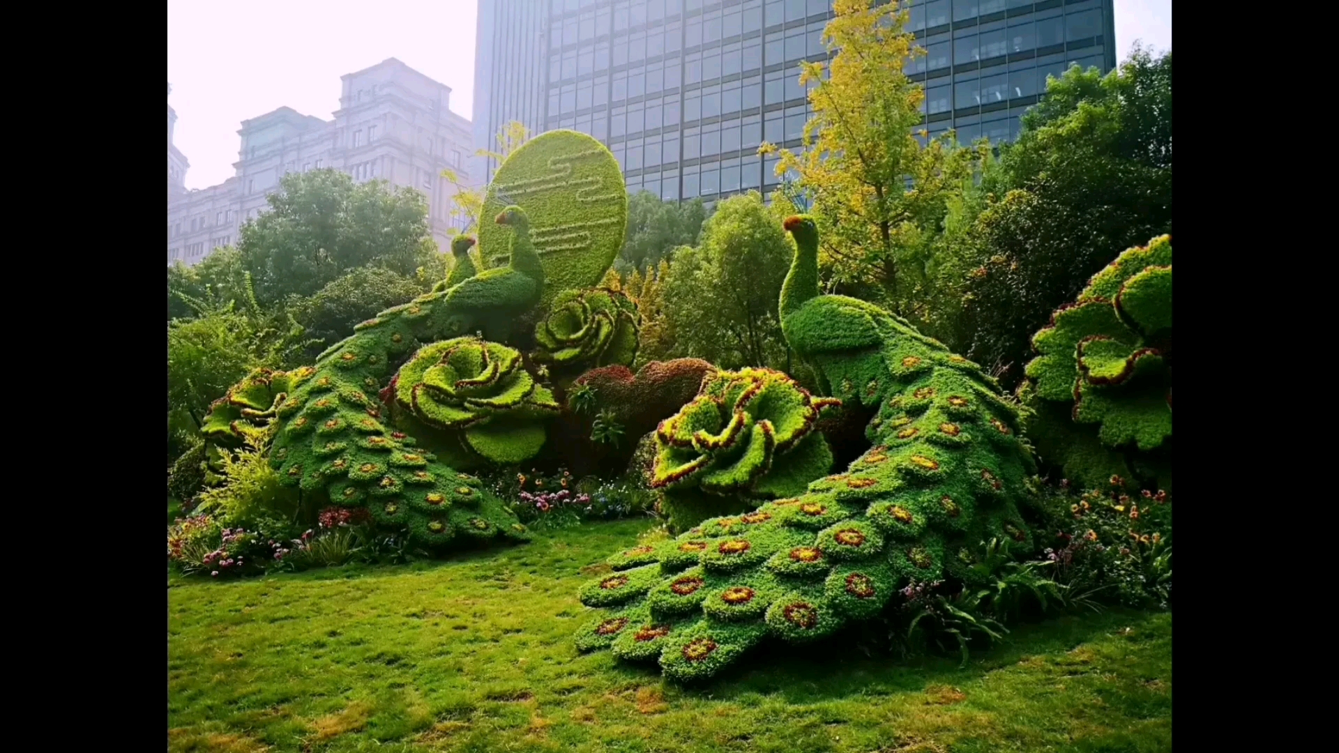 昆明,又名春城—一座鲜花堆砌而成的城市哔哩哔哩bilibili