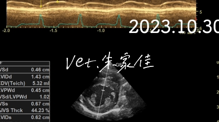 猫HCM(肥厚型心肌病)治疗后续追踪马瓦卡坦已停药1月哔哩哔哩bilibili