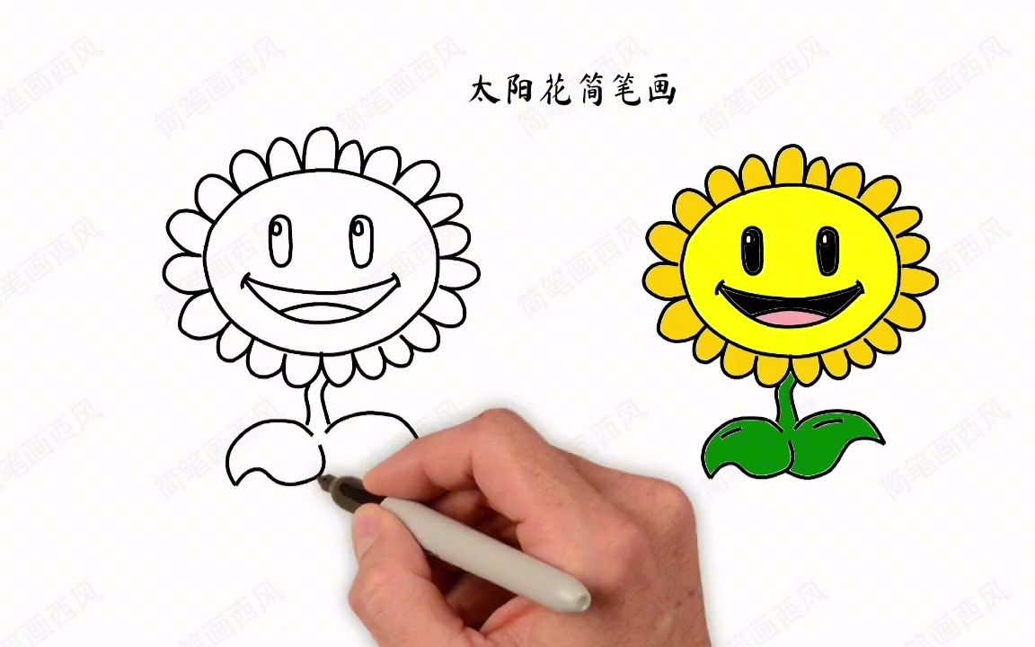 向日葵怎么画?植物大战僵尸太阳花怎么画?哔哩哔哩bilibili