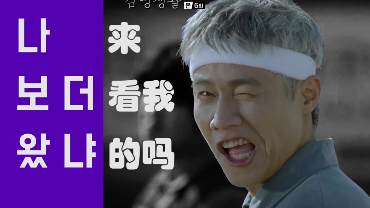 机智的监狱生活文来洞kaist魅力发散