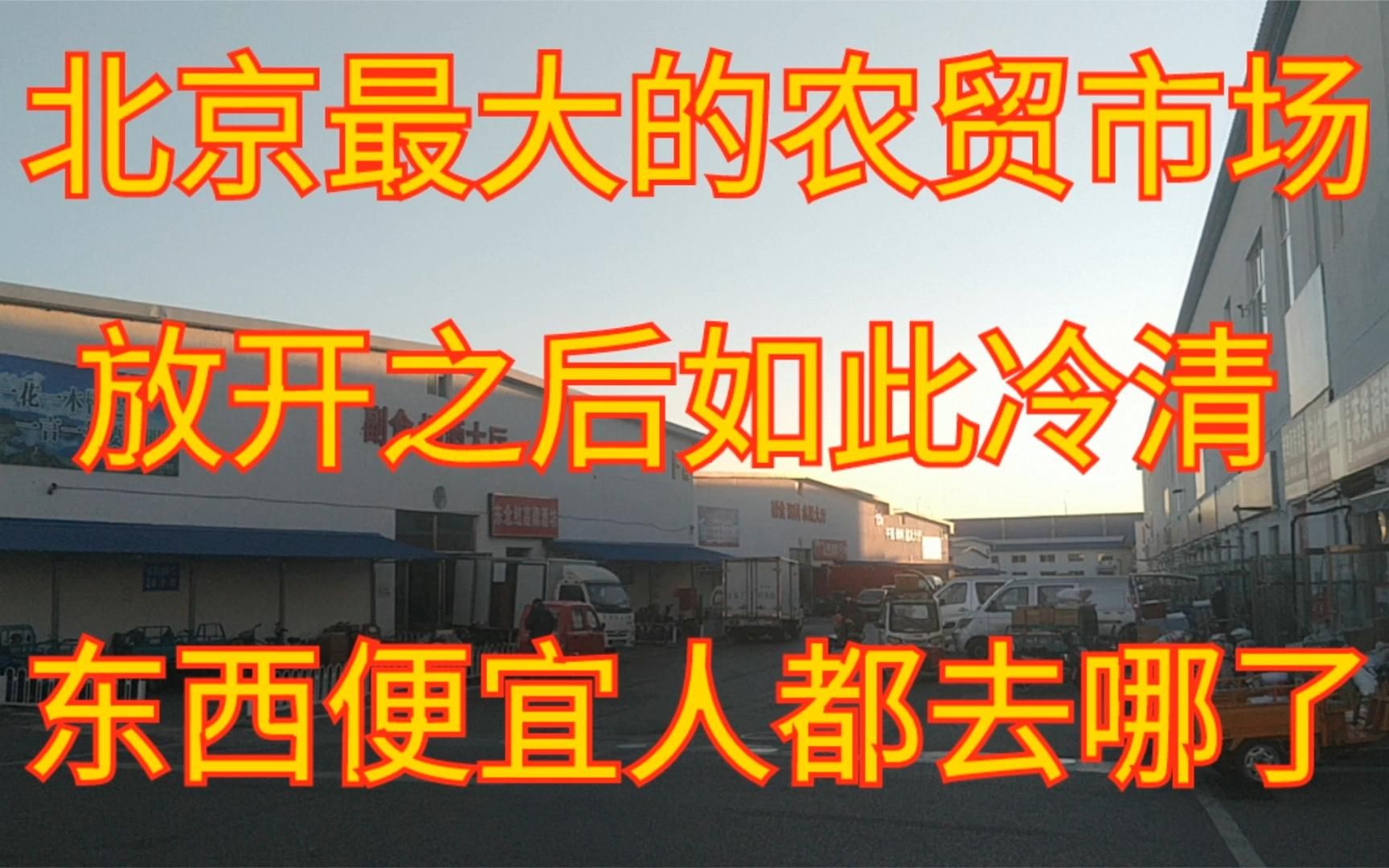 北京最大的农贸市场,放开之后却如此冷清,东西便宜人都去哪了哔哩哔哩bilibili