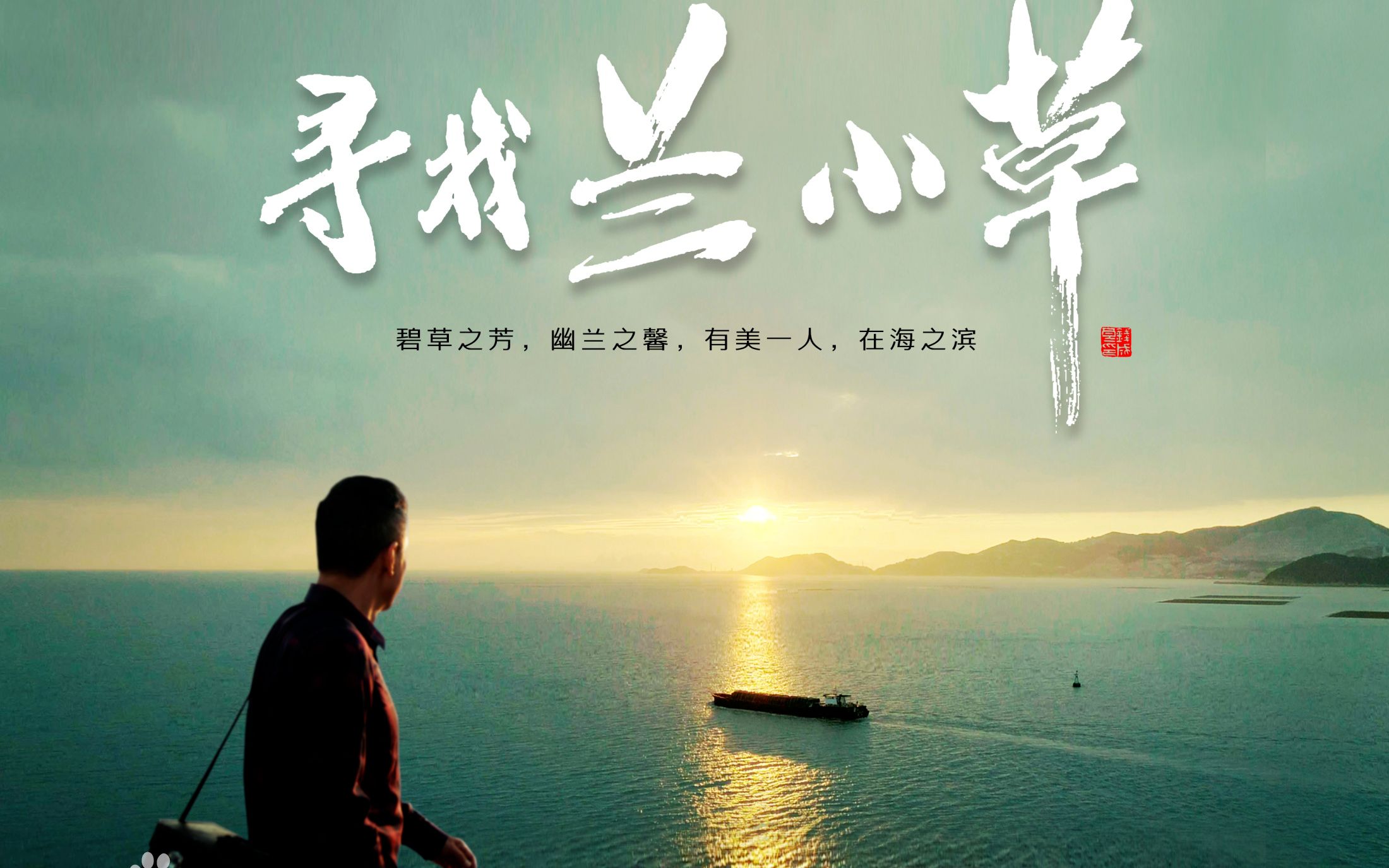 寻找兰小草家风版预告片王珏化名兰小草给急需帮助的