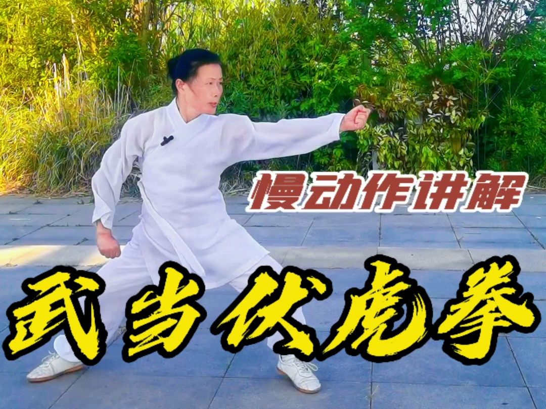 [图]武当镇山之拳：武当伏虎拳慢动作讲解