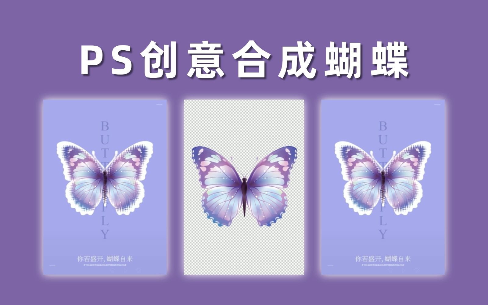 ps设计小技巧:蝴蝶创意合成海报设计