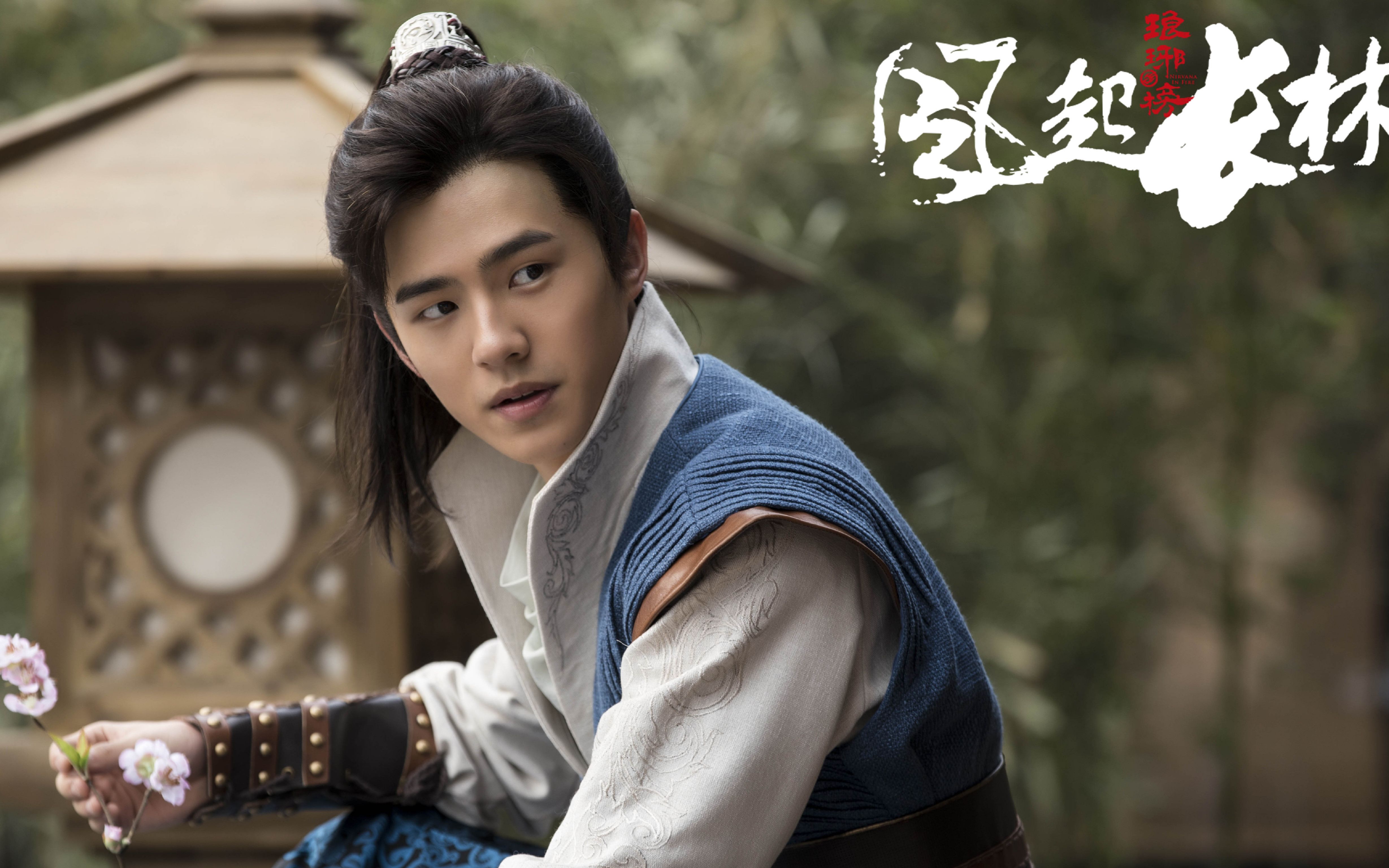 【琅琊榜之风起长林】【刘昊然】【萧平旌】【个人向】恩仇趁年华轻剑