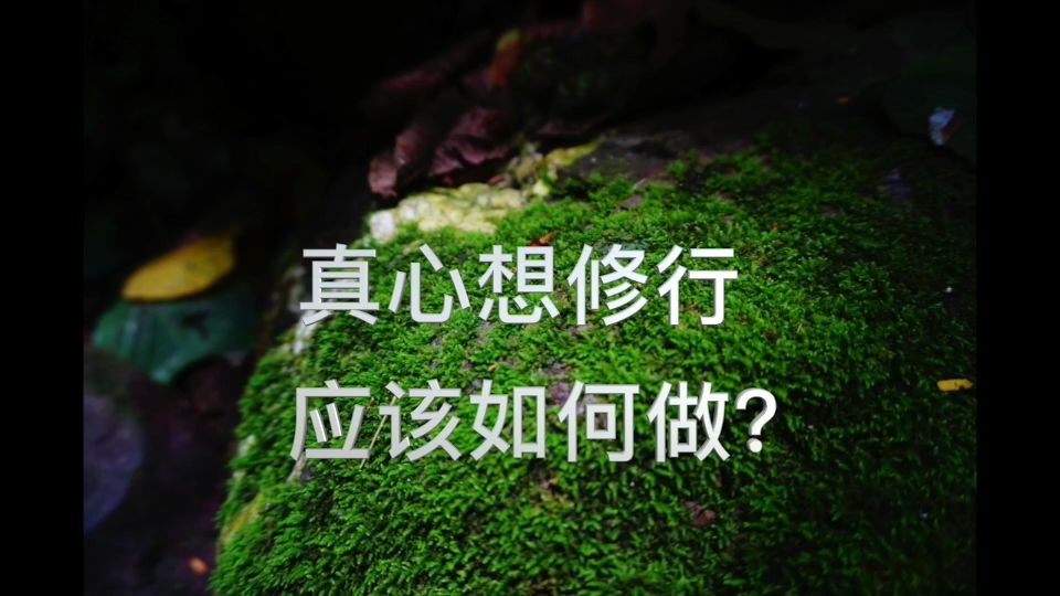 [图]俗人想修行，如何入门？