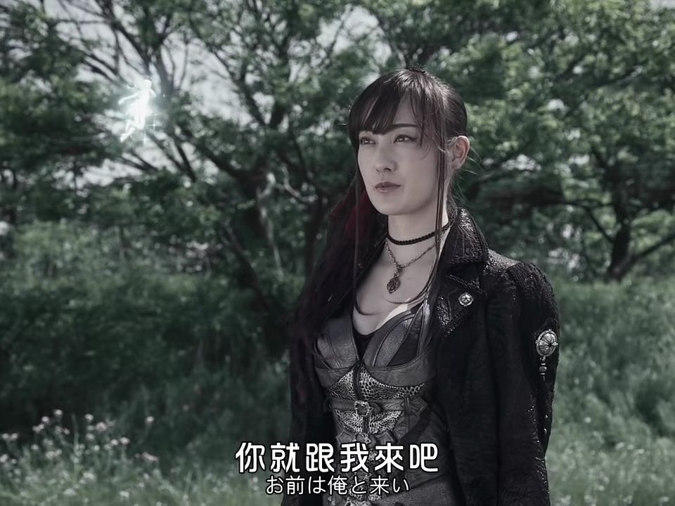 绝狼zero-dragon blood(8)照片